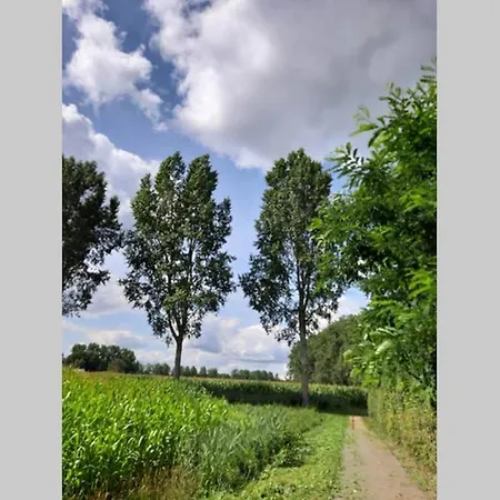 Brabants Genoegen Heeswijk Dinther Exterior foto